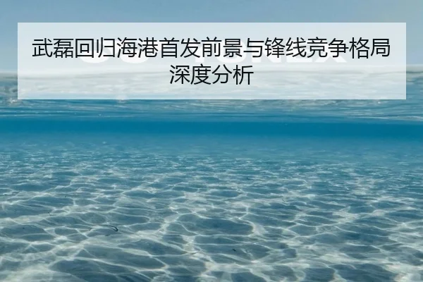 武磊回归海港首发前景与锋线竞争格局深度分析